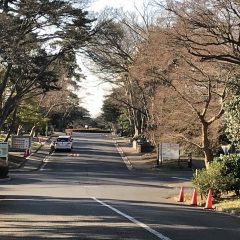 2019年春のお彼岸　彼岸明け